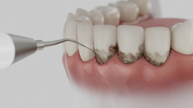 Reliable Dental contractor in Lufkin, TX by Dentist Open Now